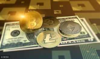 High-performance mining rigs operating in hosted environment